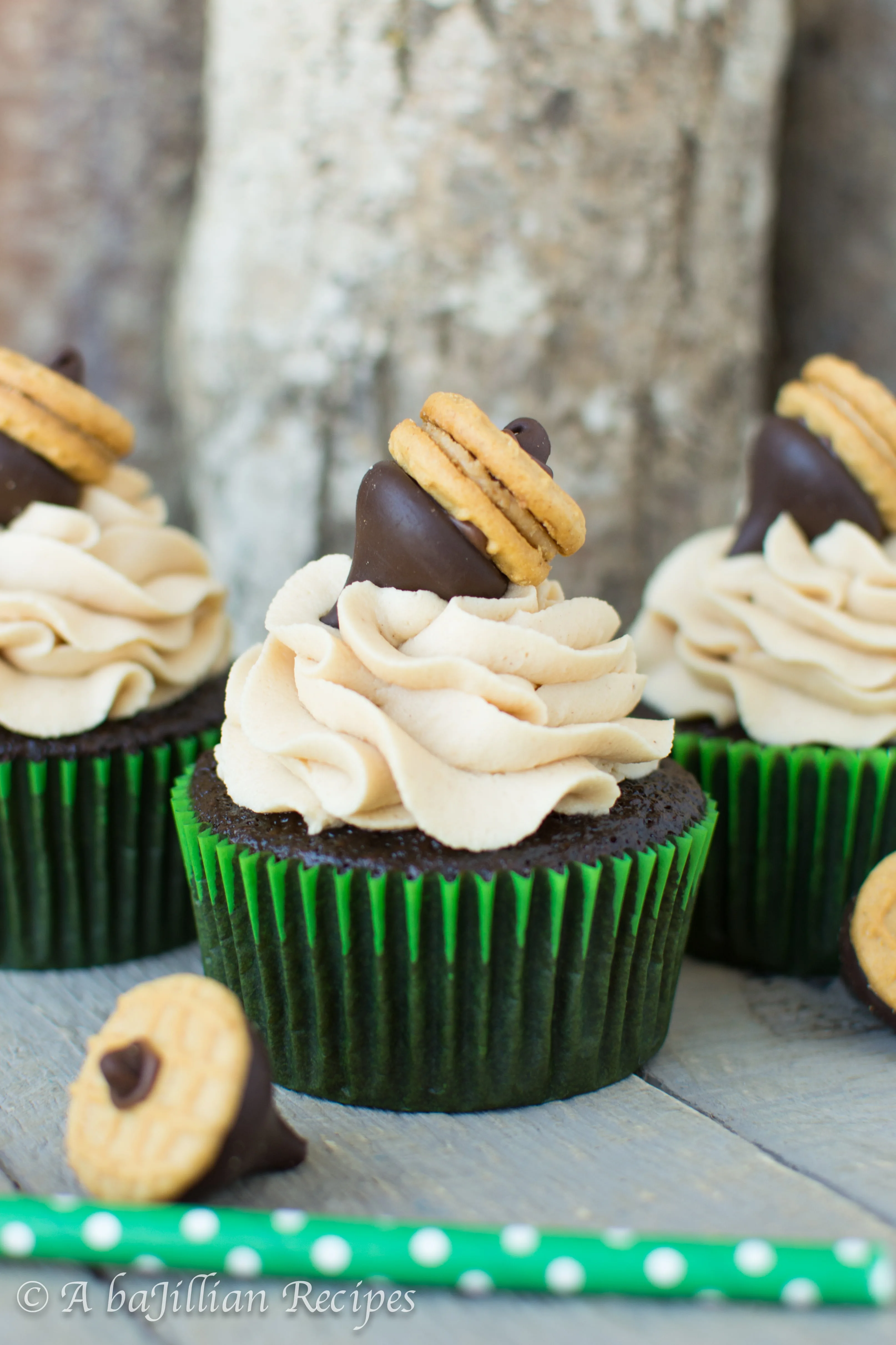 chocolate-peanut-butter-cupcakes-abajillianrecipes.com-16