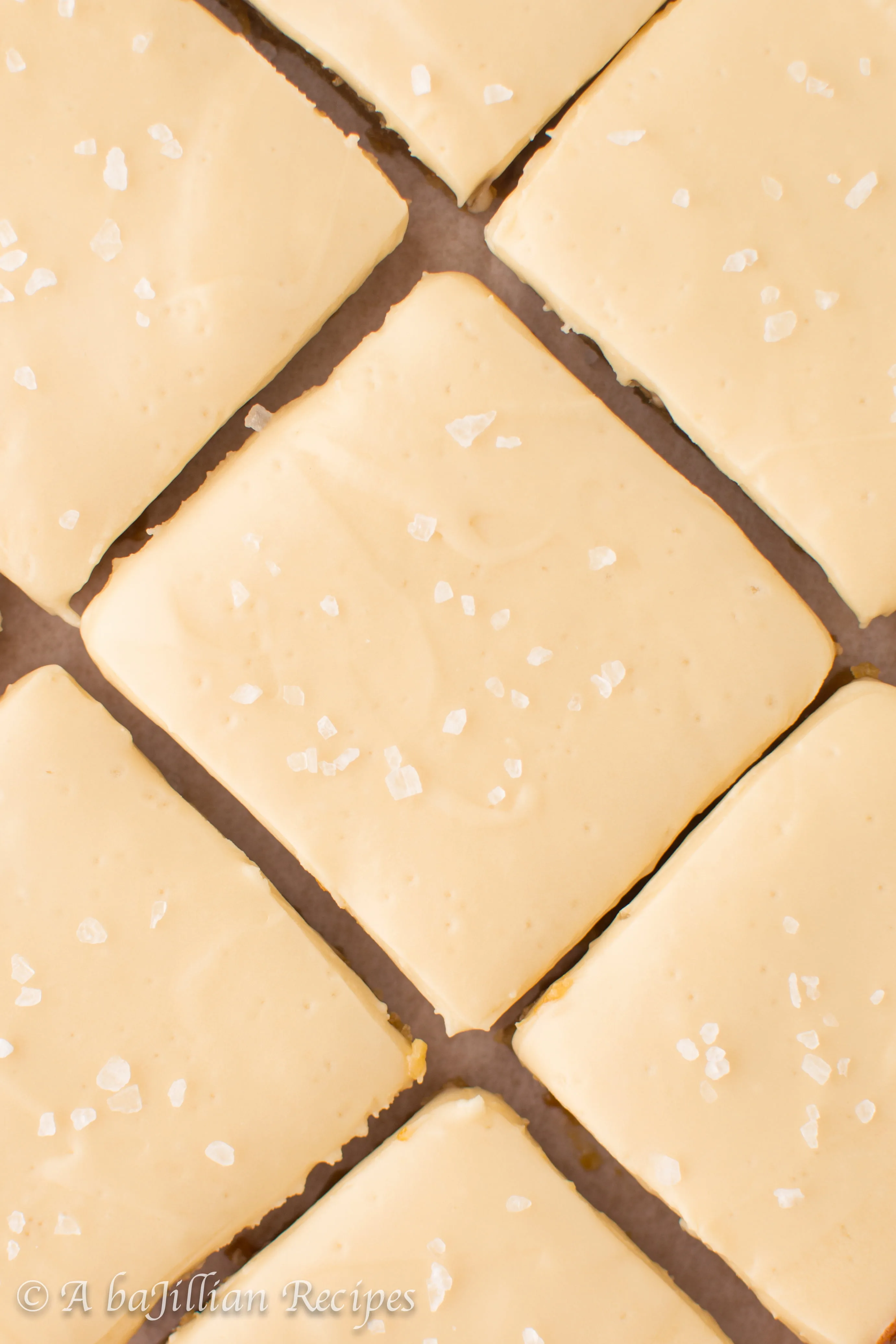 Salted-Caramelies-abajillianrecipes-5