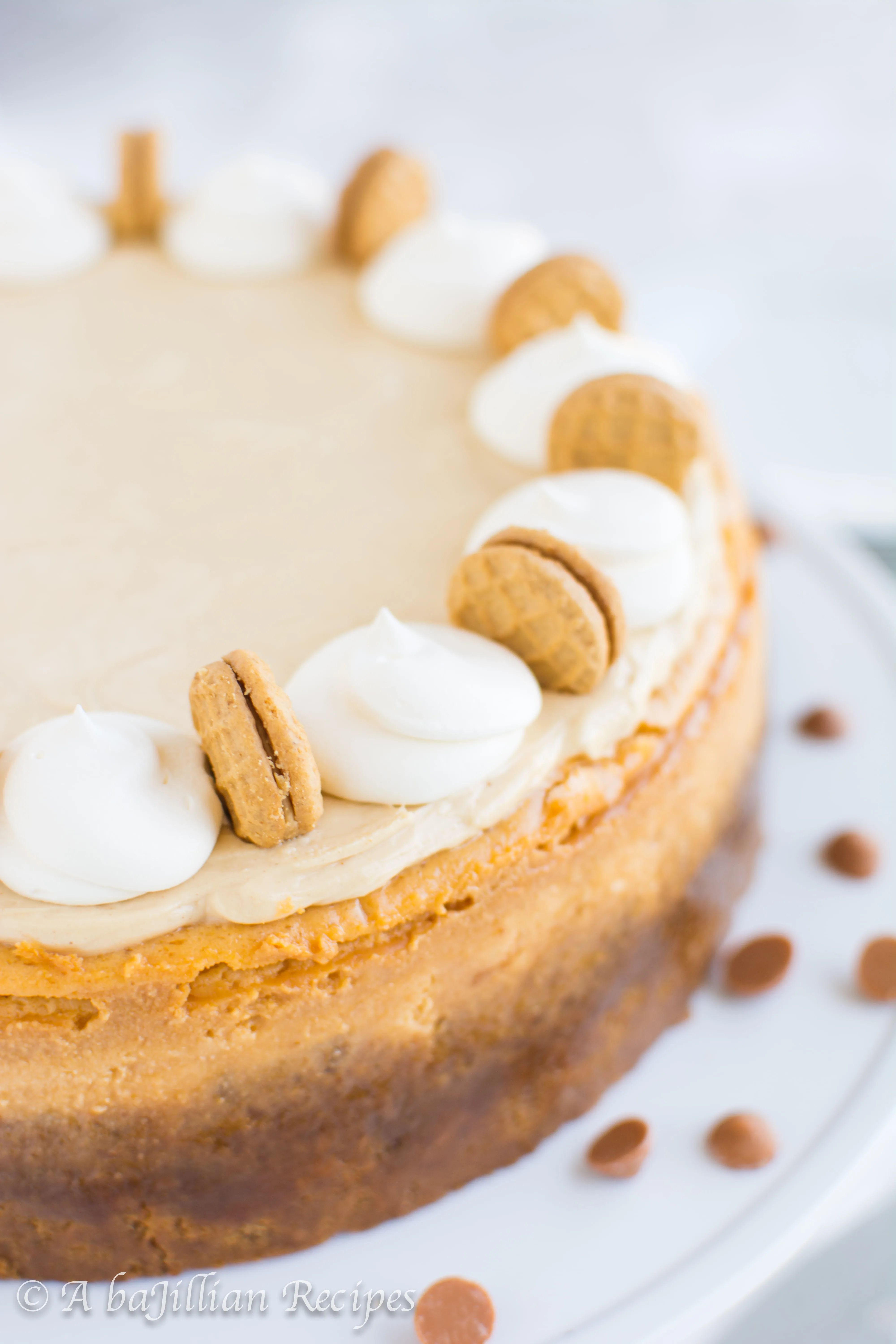 Peanut Butter Butterscotch Cheesecake | A baJillian Recipes-3