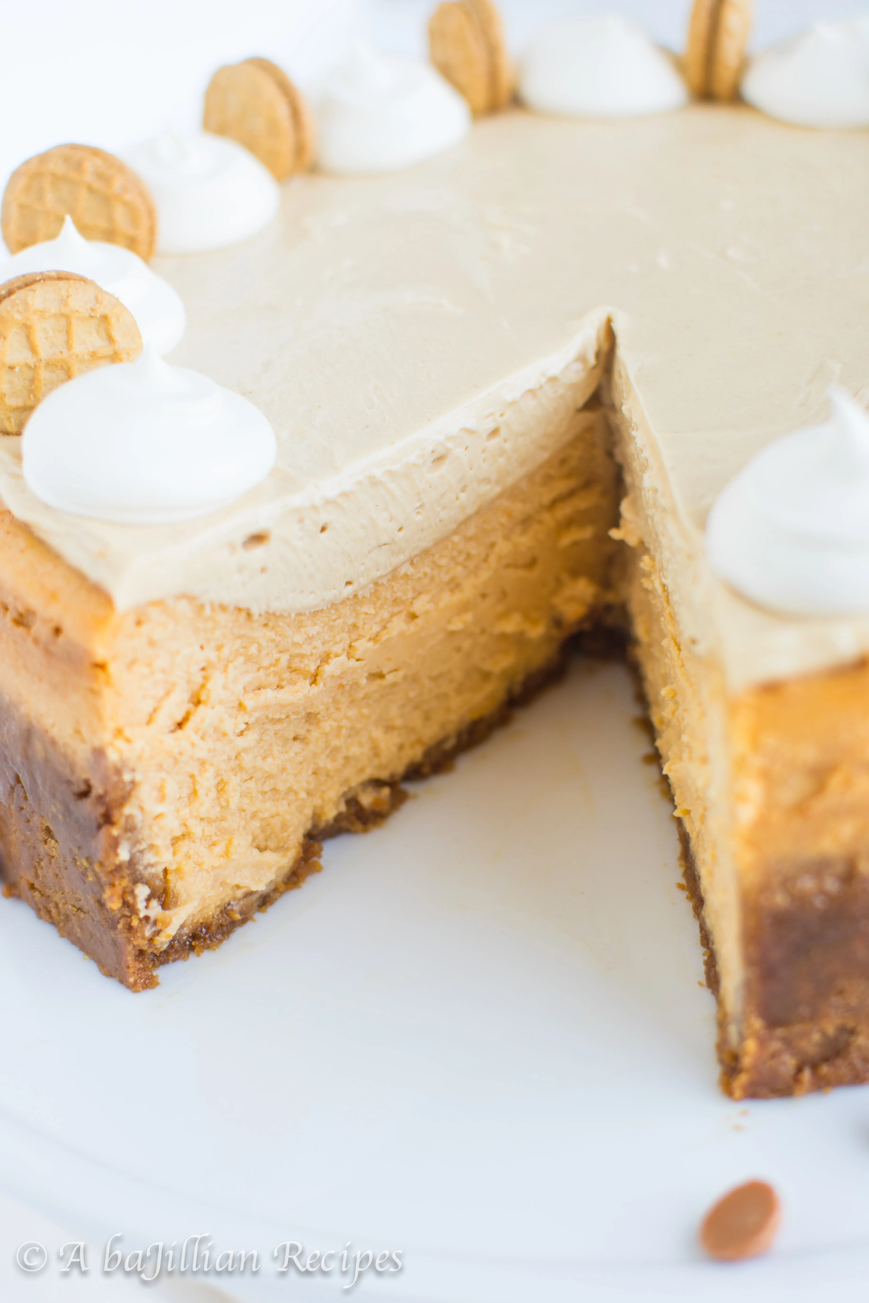 Peanut Butter Butterscotch Cheesecake | A baJillian Recipes-8