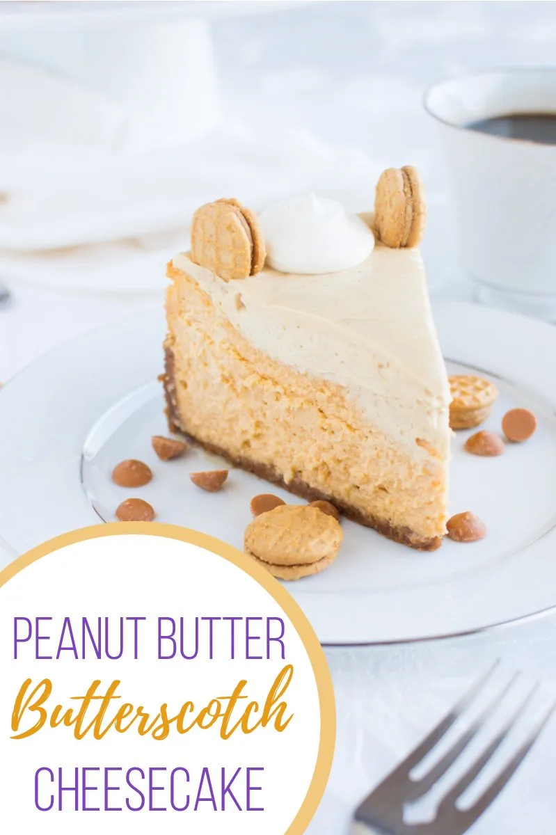 Peanut Butter Butterscotch Cheesecake (title)