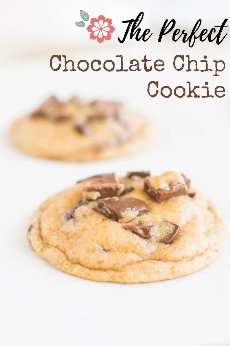 The Perfect Chocolate Chip Cookie (title)