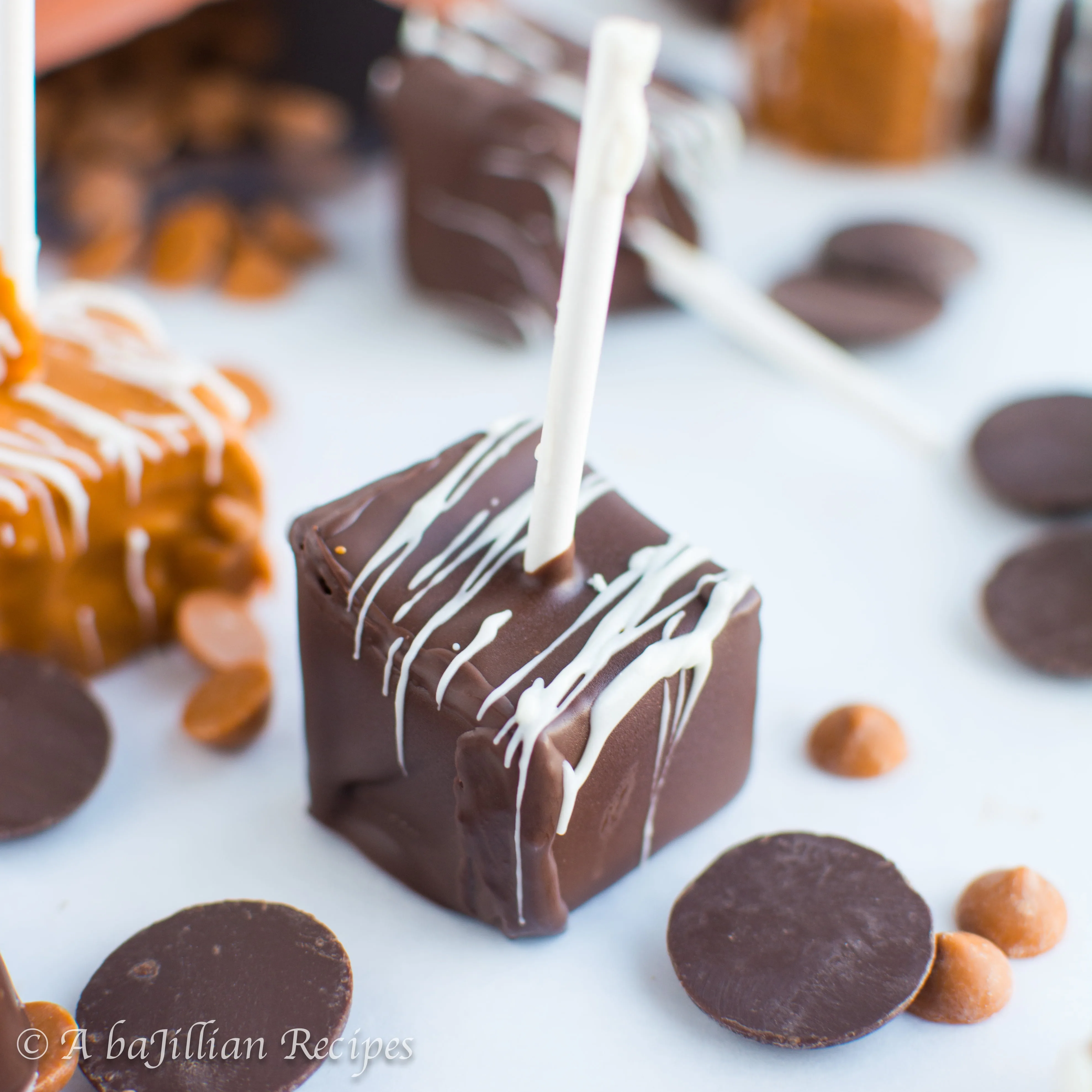 Cubes of creamy pumpkin cheesecake dipped in melted chocolate! Deliciously gluten-free!