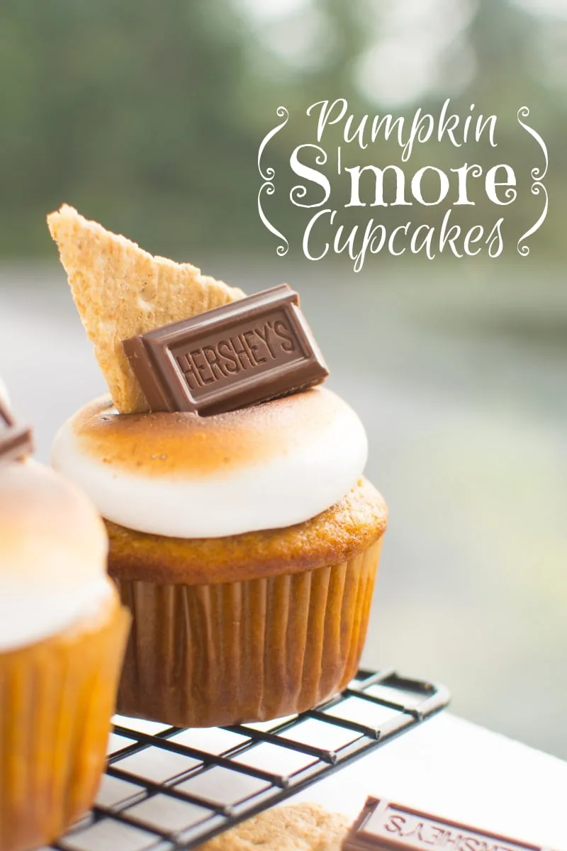 Sweet and cinnamony pumpkin-spiced cupcakes filled with rich chocolate ganache and topped with an elegant crown of toasted marshmallow frosting!
