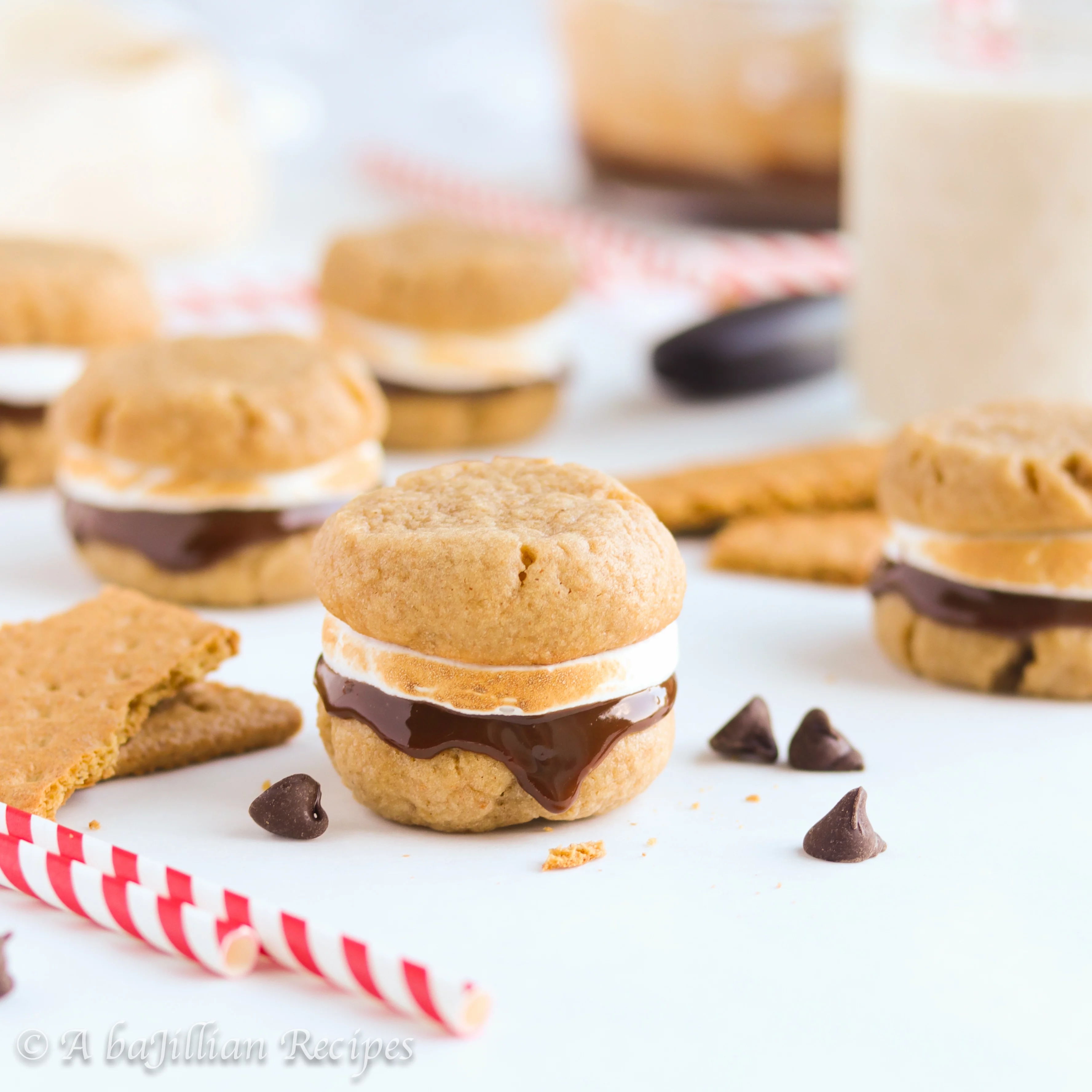 Soft and chewy graham cookies filled with toasted marshmallow fluff and rich milk chocolate ganache!
