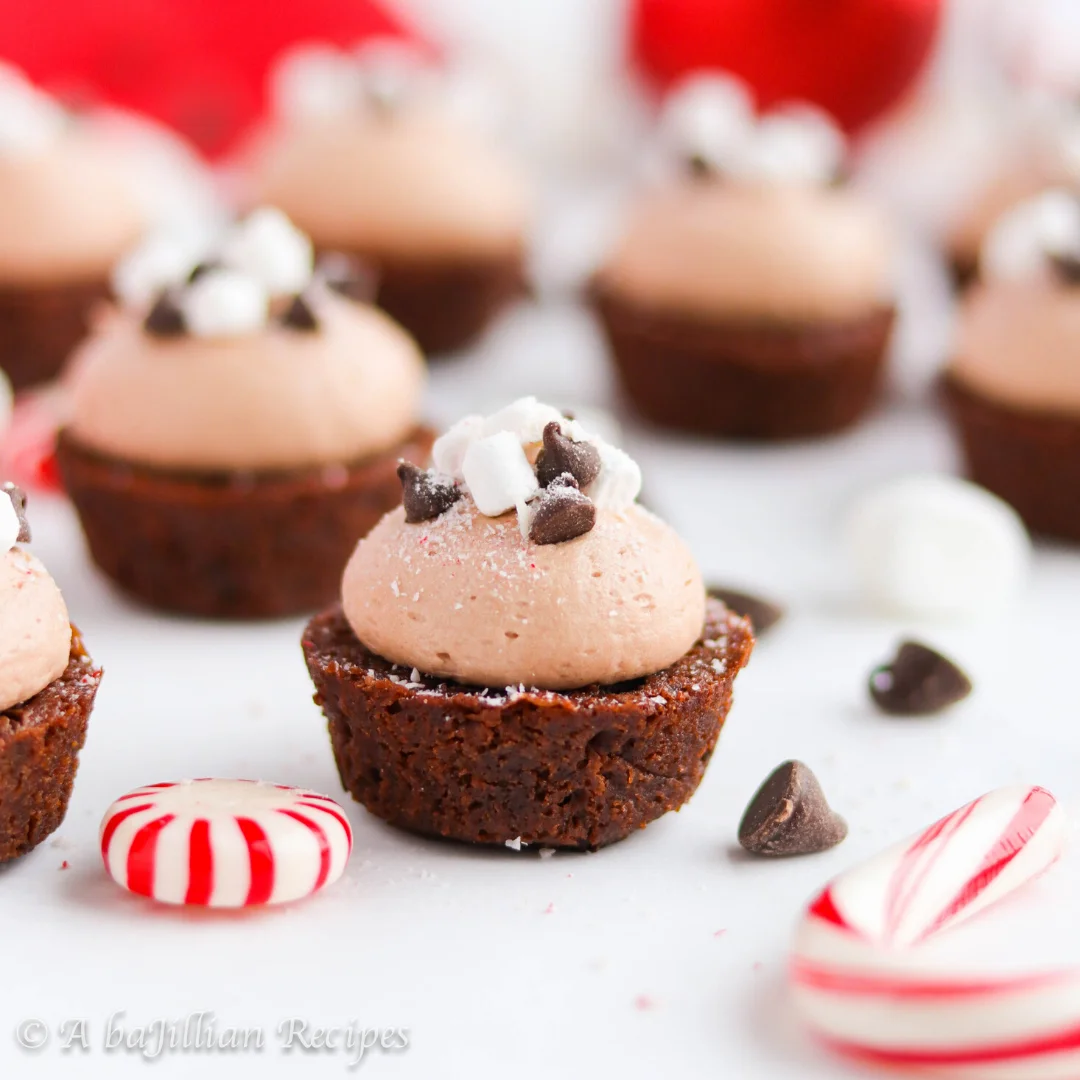 Fudgy hot chocolate brownies topped with a creamy hot chocolate frosting and a whimsical dusting of crushed peppermint candies!