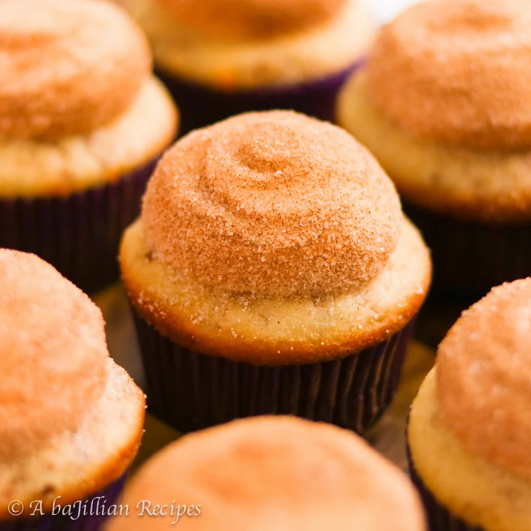 Fluffy cinnamon-swirled vanilla cupcakes topped with a tangy cream cheese frosting and dipped in cinnamon-sugar!