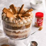 Fluffy cubes of gingerbread cake layered between creamy cookie butter cheesecake filling, whipped cream, and crunchy Biscoff cookies!