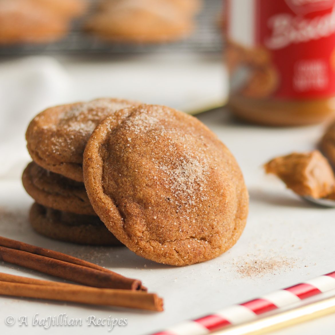 These Cookie Butter Snickerdoodles are perfectly soft on the inside, delicately crisp on the outside, and deliciously infused with the heavenly sweetness of cookie butter!